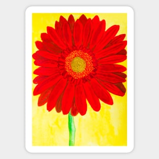 Red gerbera on yellow backgroound Sticker